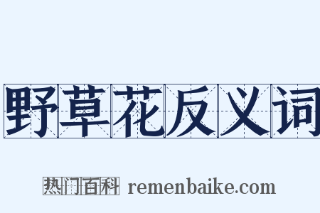 野草花反义词是什么意思的图片